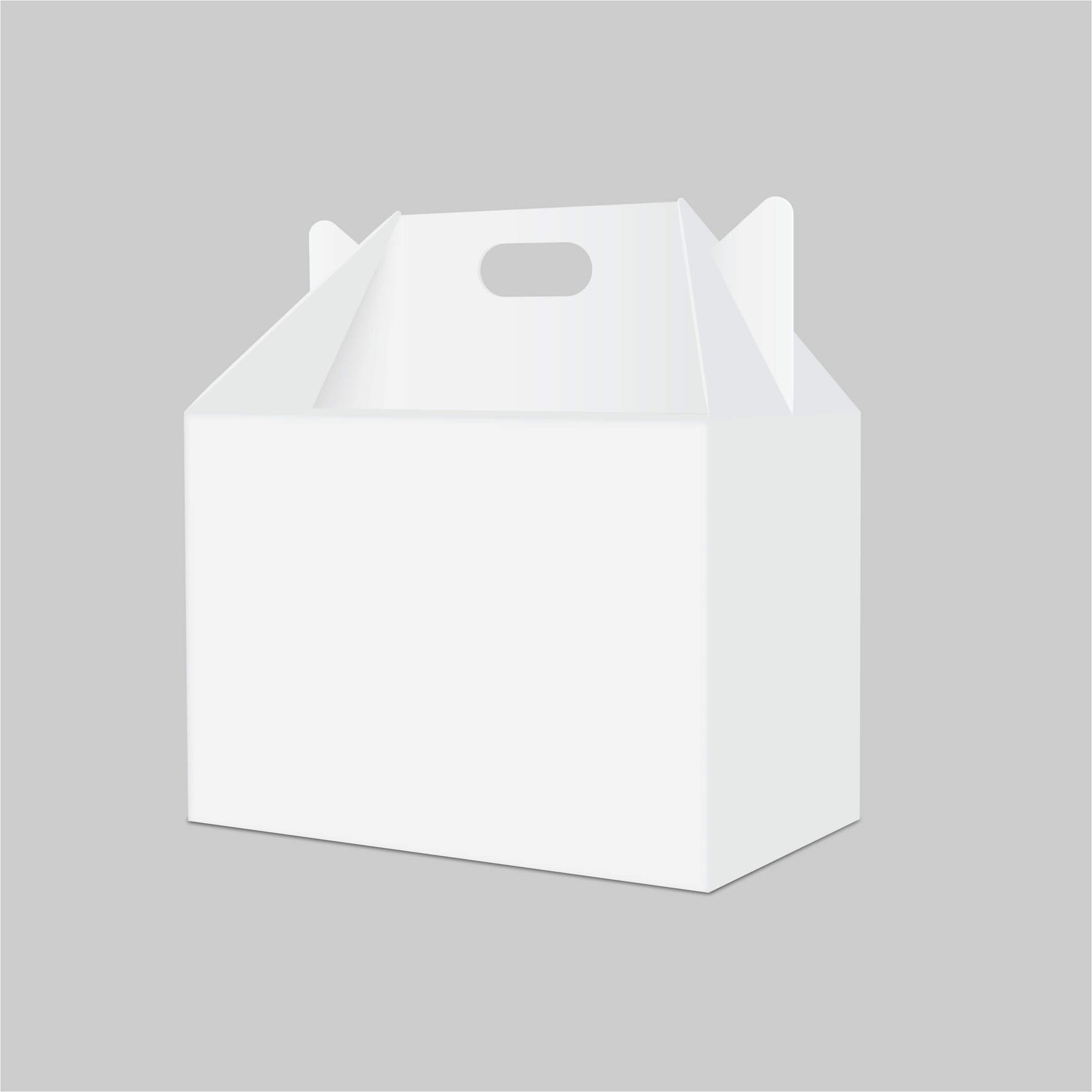 Inverted Corro Gable Box