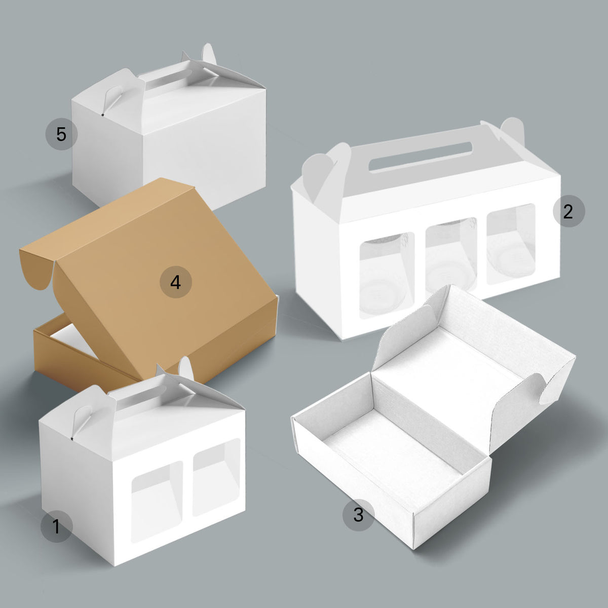 Boxes Sample Kit