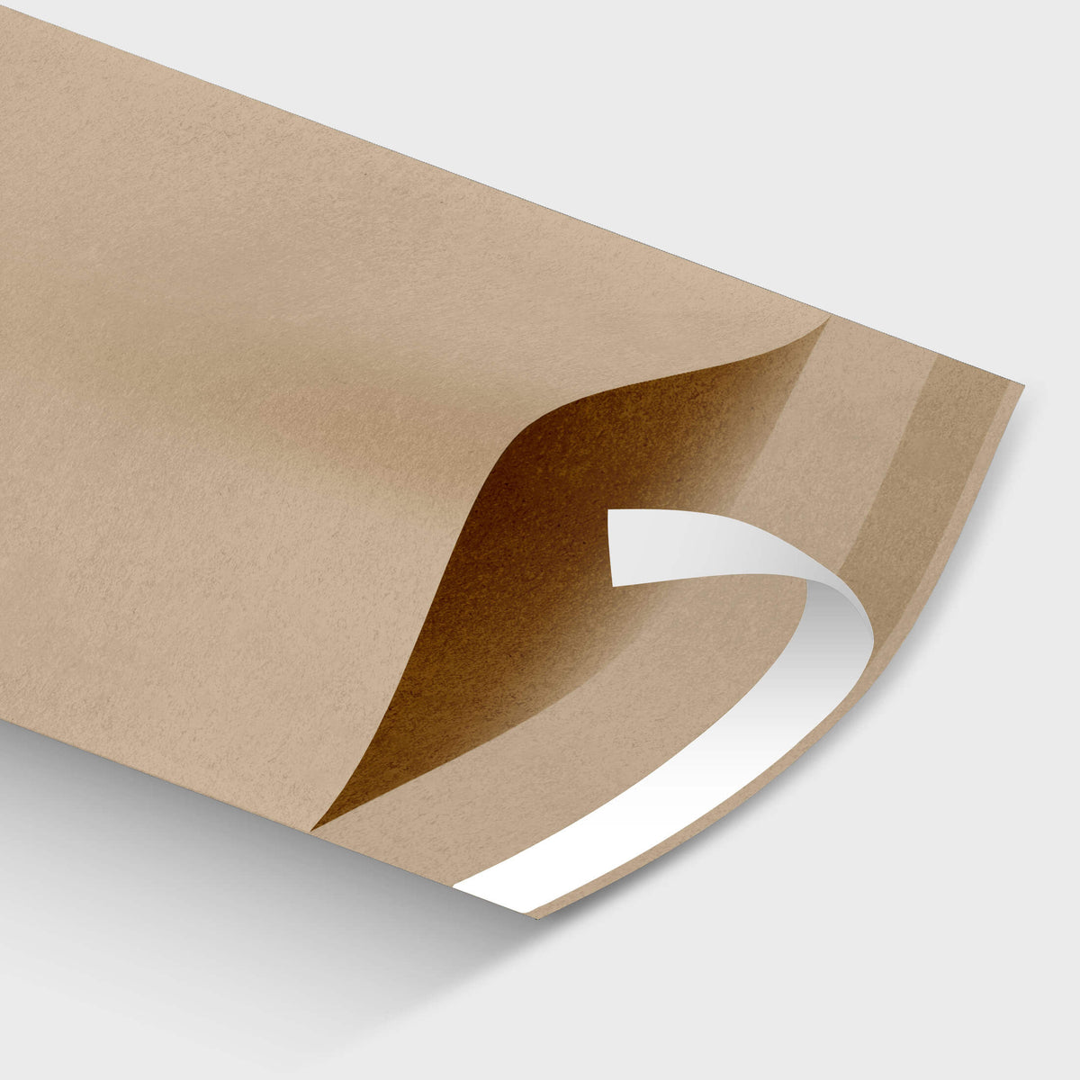Kraft Paper Mailer