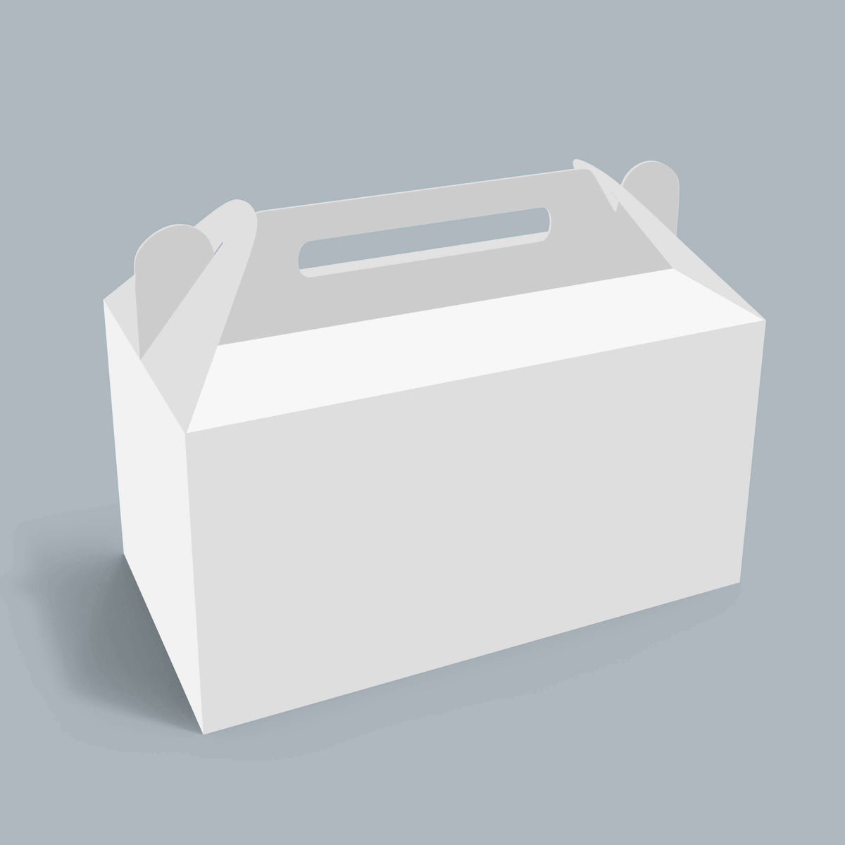 Inverted Corro Gable Box